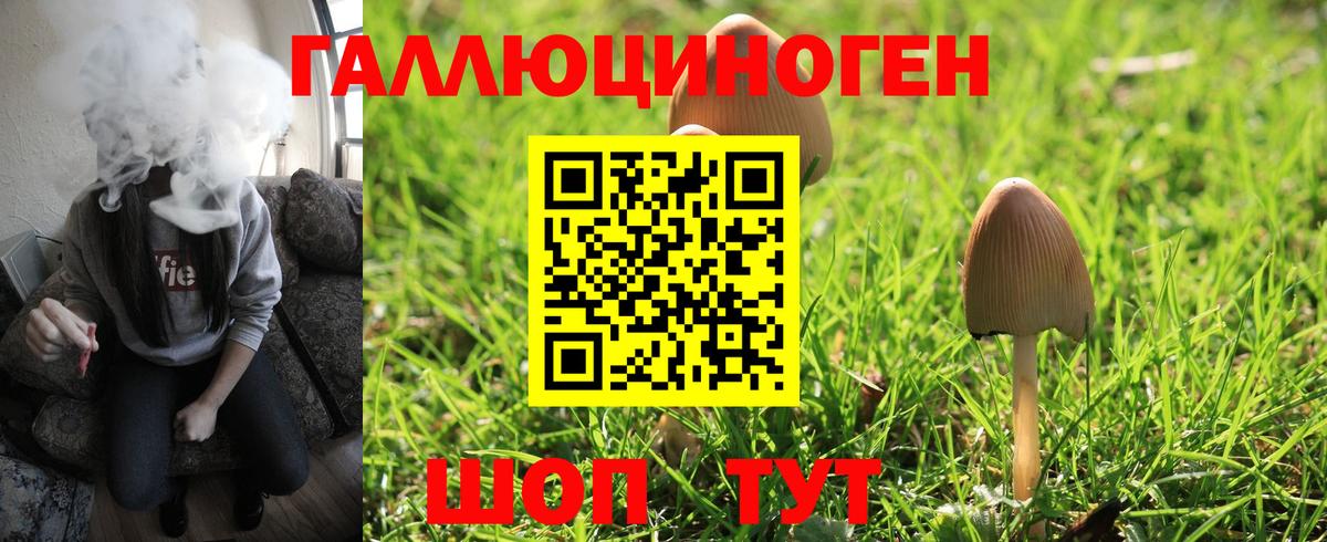 Псилоцибиновые грибы прущие грибы  Вход с VPN  Галлюциногенные грибы мицелий  Верхний Уфалей 