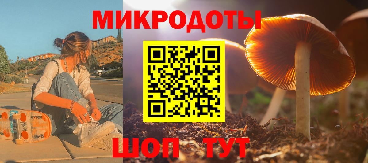 Псилоцибиновые грибы прущие грибы Верхний Уфалей